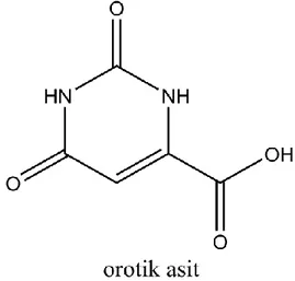 Şekil 1.1‟ de orotik asitin yapısı verilmiştir.                                                                                  