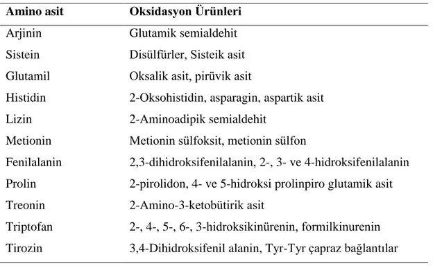 Tablo 1.1 Aminoasitlerden UV ışığı etkisi ile oluşan okside ürünler (76,77)  Amino asit  Oksidasyon Ürünleri 