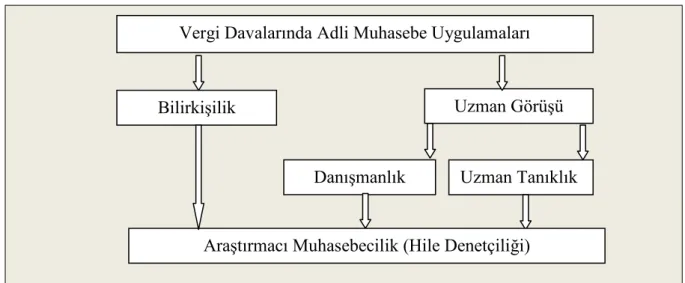 Şekil 1. Vergi Davalarında Adli Muhasebe Uygulamaları 