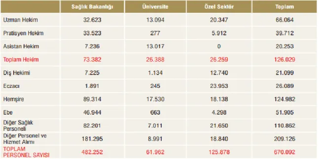 Tablo 3. Sağlık Personelinin Sektörlere ve Unvanlara Göre Dağılımı (2011) 