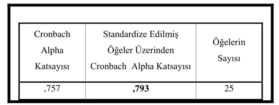 Tablo 4.6. Alfa Yöntemine Göre Anket Güvenirlilik Analizi Çıktısı 