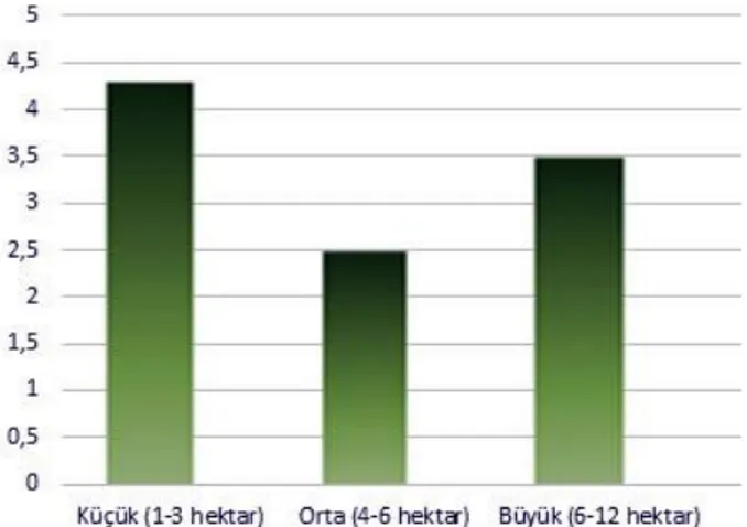 Şekil 4: Boyutlarına göre MÖ 2. Binyıl yerleşimleri.  