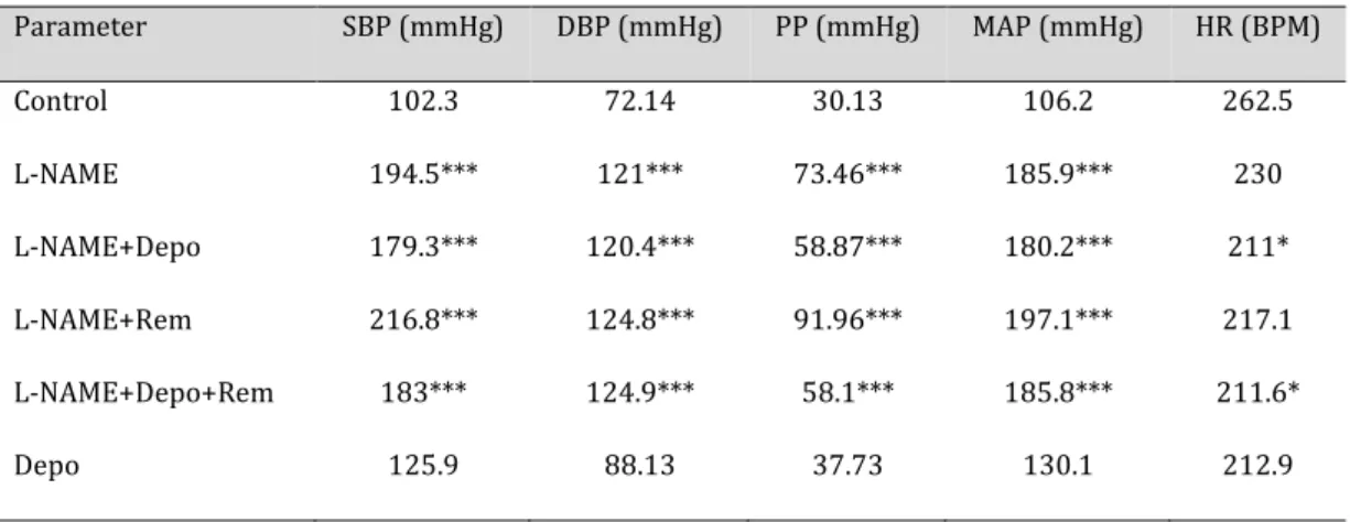 Table 2.  Cardiovascular changes in the groups. L-NAME increased all blood pressure parameters