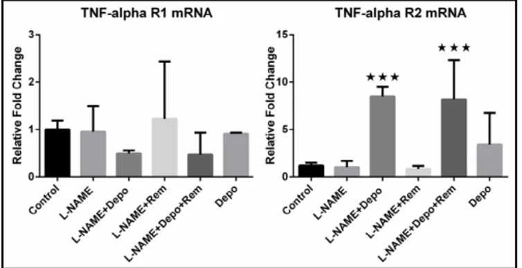 Fig. 9. mRNA abundance of TNFR1 