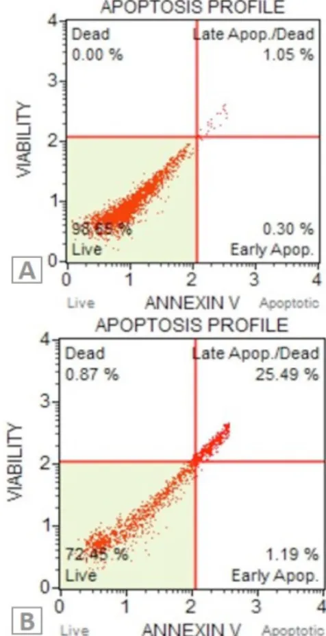 Fig. 1. Apoptosis quantification of A549 cells treated with  C2 ceramide for 24 h. A, Untreated A549 cells; B, C2  Ceramide treated A549 cells.