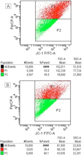 Fig. 4. Mitochondrial membrane potential changes of A549  cells. A, Untreated A549 cells: B, A549 cells exposed to  ceranib-2.