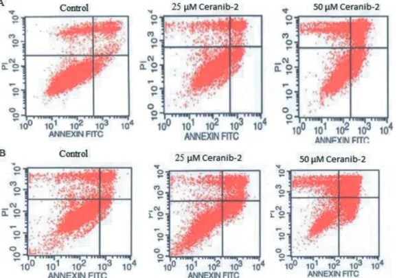 Figure 1. T-98G cells, treated or nontreated with 25 or 50 µM ceranib-2 for 24 (A) or 48 (B) h, then stained with FITC annexin V  apoptosis assay kit with PI (Invitrogen)