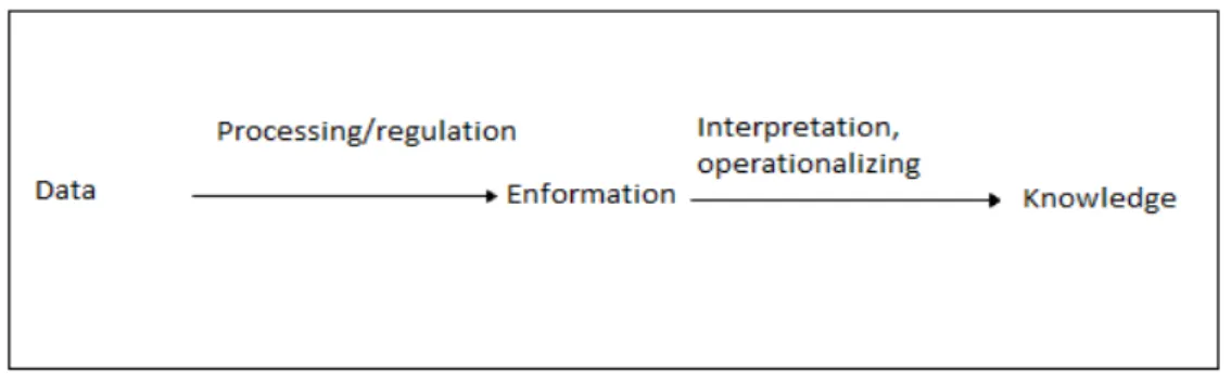 Figure 1: Formation of Information 