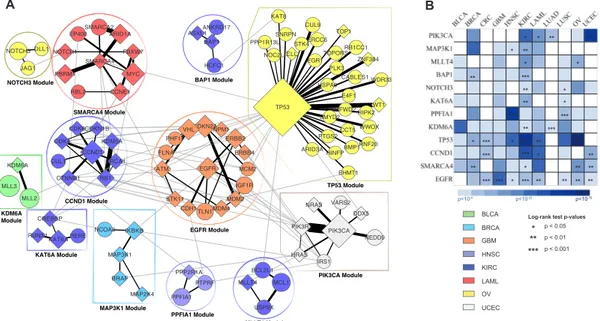 Figure 3.4: A) MEXCOWalk output modules when total genes = 100. Diamond shaped nodes correspond to CGC genes