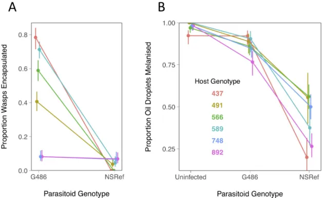 Fig 1. Resistance of six Drosophila genotypes to two parasitoid genotypes. (A) Proportion of Drosophila larvae encapsulating L.