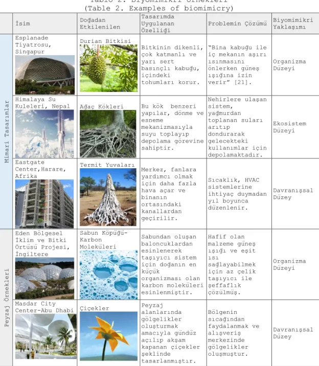 Tablo 2. Biyomimikri örnekleri  (Table 2. Examples of biomimicry) 