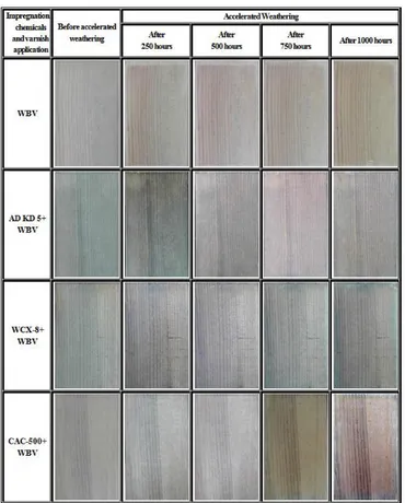 Fig. 1: The color changes of Scots pine wood specimens before and after the accelerated weathering.