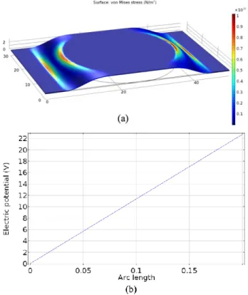 Figure 2. Simulation results of (a) the stress distribution on 