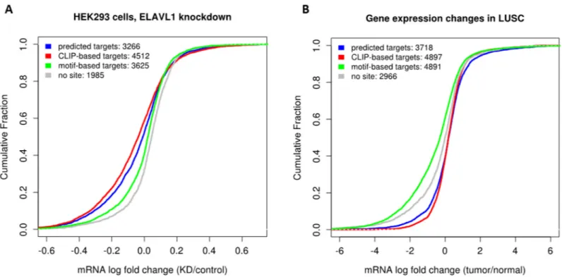 Fig 5. Evaluation of predicted target genes of ELAVL1. A. Cumulative distribution of LFCs of genes upon ELAVL1 depletion in HEK293 cells