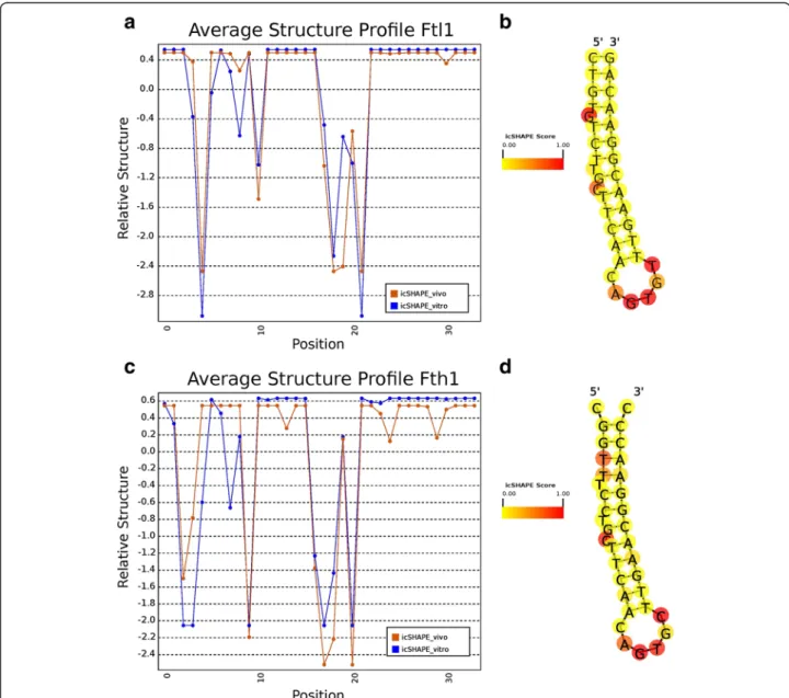 Fig. 1 icSHAPE score profiles for the iron response element (IRE) hairpins of murine Ftl1 (a) and Fth1 (c) visualized using Structure Surfer ’s standardized data output