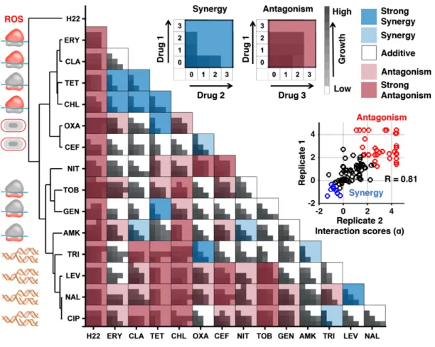 Figure 1. Experimental drug-interaction data for training INDIGO.