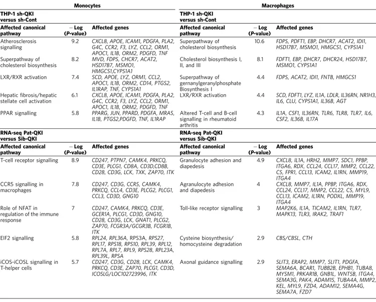 Table 1 | IPA assessment of pre-deﬁned canonical pathways affected by changes in QKI expression.