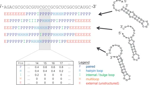 Figure 2 shows an example results page where we input two sets of sequences (500 sequences in each set) that are known to be bound and unbound by Vts1p ( 1 )
