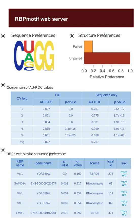 Figure 2. Result page of the ﬁrst type of analysis that involves de novo motif ﬁnding with RNAcontext