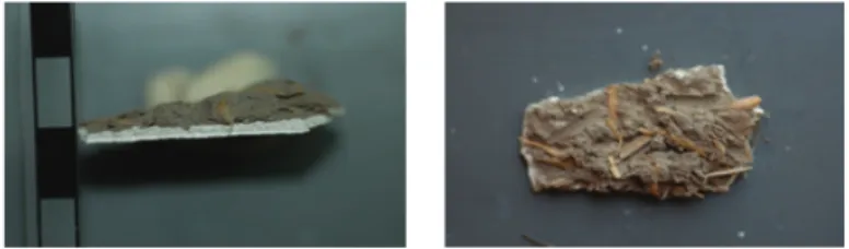 Figure 23. Scaled photo of mud plaster   and lime plaster as two layers                                    Figure 24