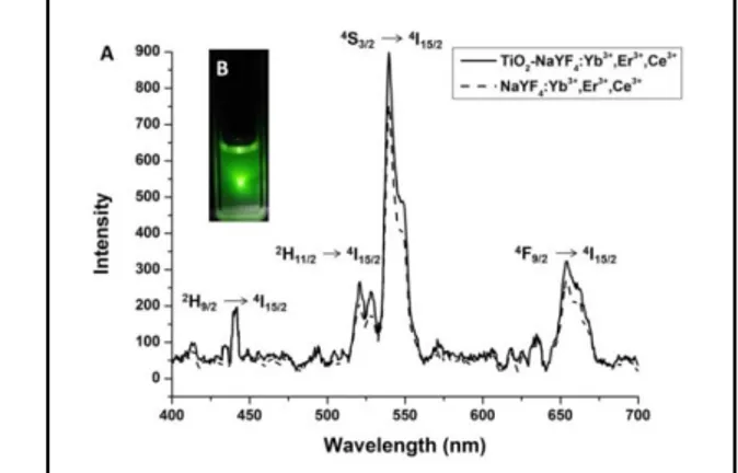 Fig. 7. Fluorescent spectra of the UCNP and TiO 2 –NaYF 4 :Yb 3+ ,Er 3+ ,Ce 3+ 