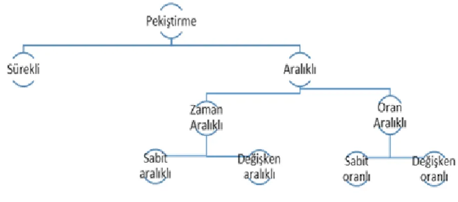 Şekil 1. Pekiştirme tarifeleri