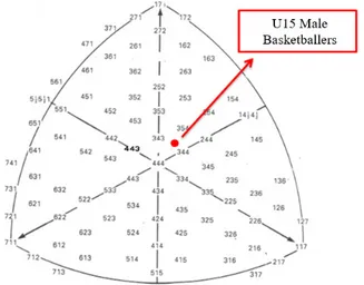 Figure 1: The dispersion of the mean somatotype of the U15 Male Basketballers  on somatochart.