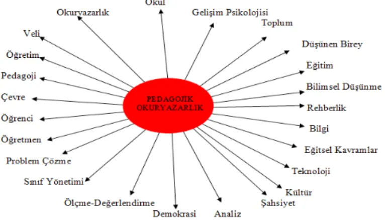 Şekil 1. Pedagojik Okuryazarlık Kavramı ile ilgili Kavram Şeması Pedagojik okuryazarlığın başlıca özelliklerini şöyle sıralanabilir: