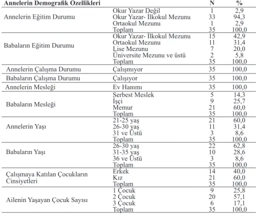 Tablo 1. Araştırmaya Katılan Ailelerin Demografik Bilgileri 