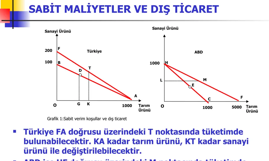 Grafik 1:Sabit verim koşullar ve dış ticaret