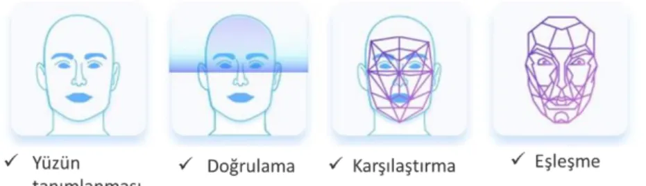Şekil 1. Yüz Tanıma Adımları 