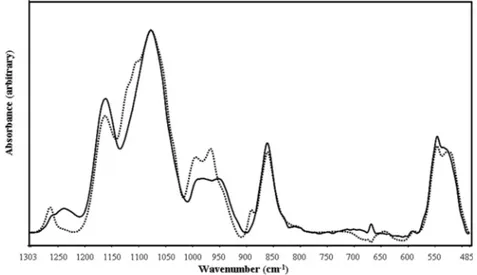 Fig. 2. The FTIR spectra of ID 50  of 2 ′ -methylklavuzon (dotted line) and control (solid line) A549 cells between 1484 – 777 cm − 1  region (the spectra were normalized  with respect to the PO 2− symmetric stretch, which is observed at 1077 cm − 1 )