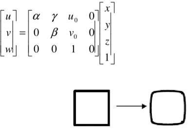 Figure 2.5. Radial (Barrel) distortion. 