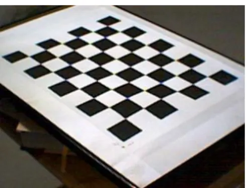 Figure 2.7. A view of the calibration pattern. 