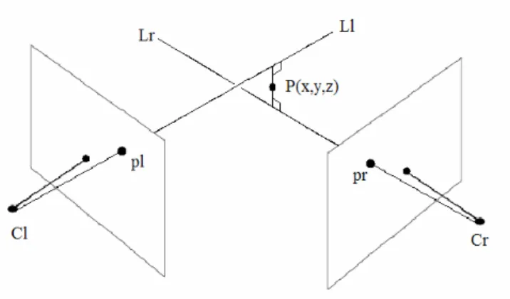 Figure 3.3. Crossing lines in stereo vision. 