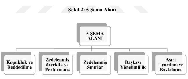 Şekil 2: 5 Şema Alanı 