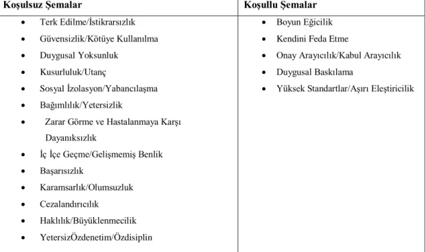 Tablo 1. Şemaların sınıflandırılması 