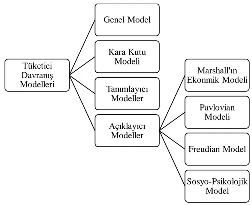 Şekil 3. Müşterilerin Davranış Modelleri 