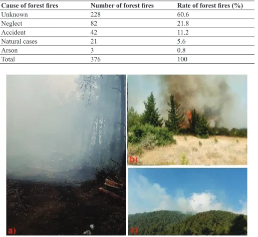 Table 2. Distribution of the forest fires according to the reasons in  Kahramanmaras Province 2012-2017).