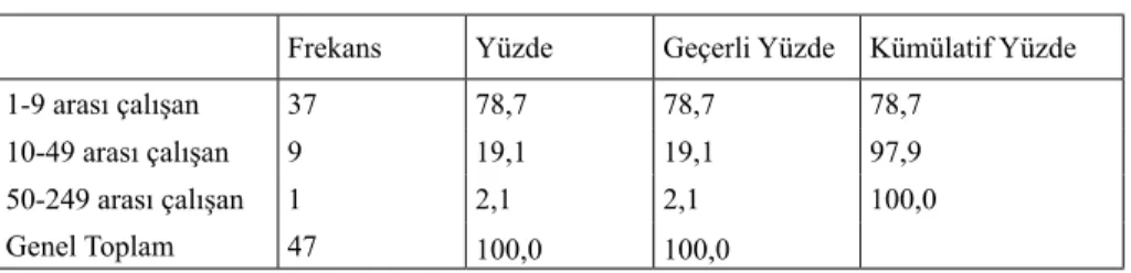 Tablo 6: İşletmelerde Çalışan Kişi Sayısı