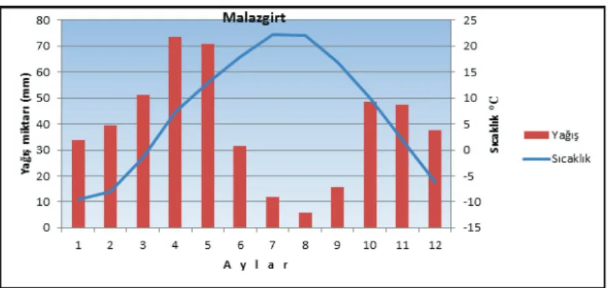 Şekil 3 Malazgirt İstasyonu’nun Yıllık Ortalama Sıcaklık ve Yıllık Toplam Yağış Değerleri