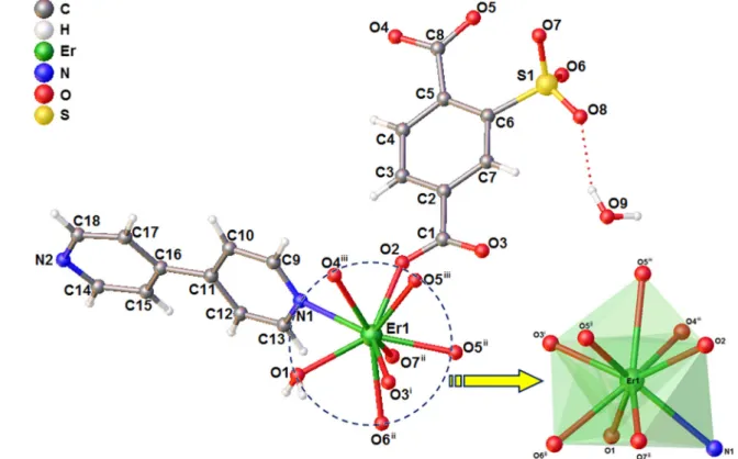 Fig. 2 View of the molecular structure of 2 and the coordination environment of Er III atom [Symmetry code: (1) - x ? 1, - y ? 1, - z ? 2; (2)