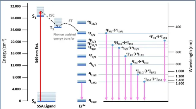 Fig. 6 Schematic diagram for sensitization mechanism of the Er 3? ion by SSA ligand