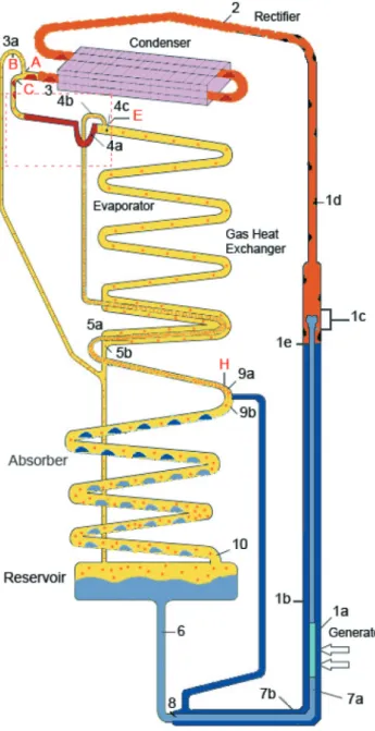 Figure 5.  A DAR cycle (adapted from Zohar et  al. [ 18 ]).