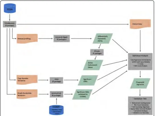 Fig. 1 The R pipeline used for construction and validation of the prognosis gene signature