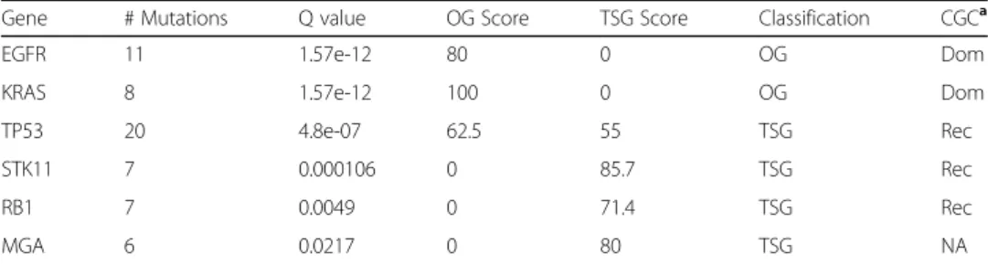 Table 1 Significantly mutated genes in tumor samples of 55 patients with LUAD. The genes were classified as an oncogene (OG) and a tumor suppressor gene (TSG) based on their scores and the cancer gene census information by SomInaClust R package