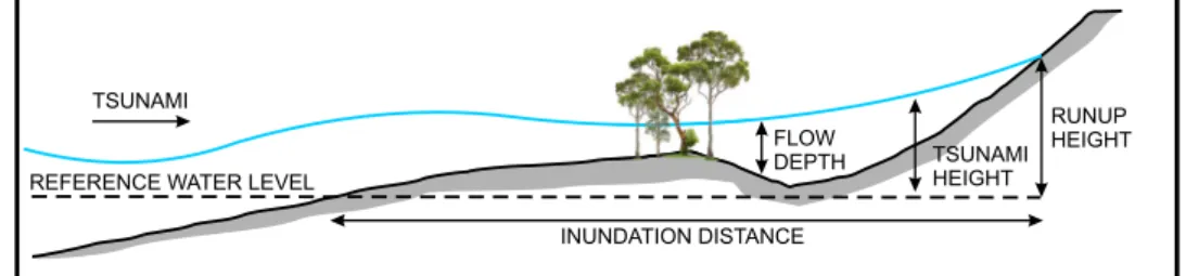 Fig. 2    Schematic illustration of  the tsunami terminology  (modi-fied from ITST  2014 )