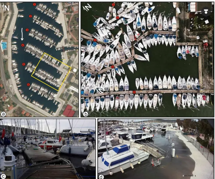 Fig. 4    The tsunami hit Teos Marina violently. The four pontoon 
