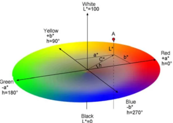 Figure 1. The CIEL*a*b* colour space [6] .