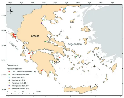 Fig. 14: Occurrence of P. aztecus in the Greek seas.